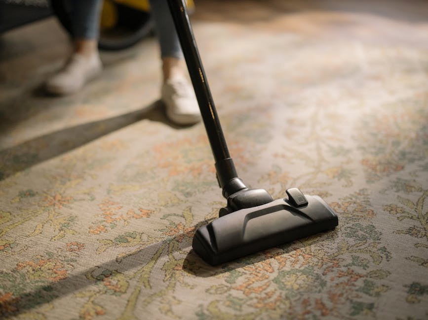 Steam cleaning carpet process